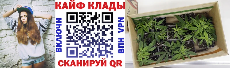 Купить ГАШ МАРИХУАНА СК Мефедрон Ахтырский